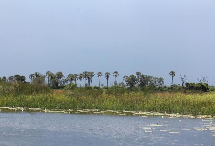 سوییت, Cresta Maun