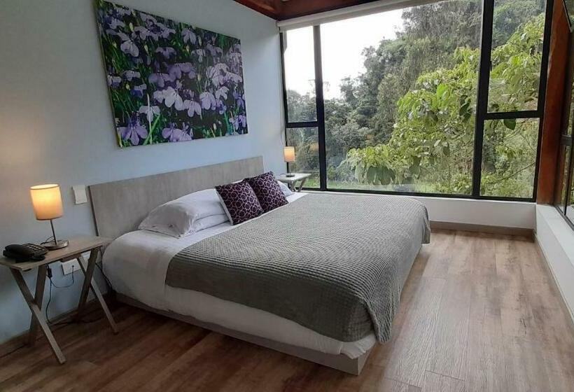 マウンテンビュースタンダードルーム, Termales Tierra Viva