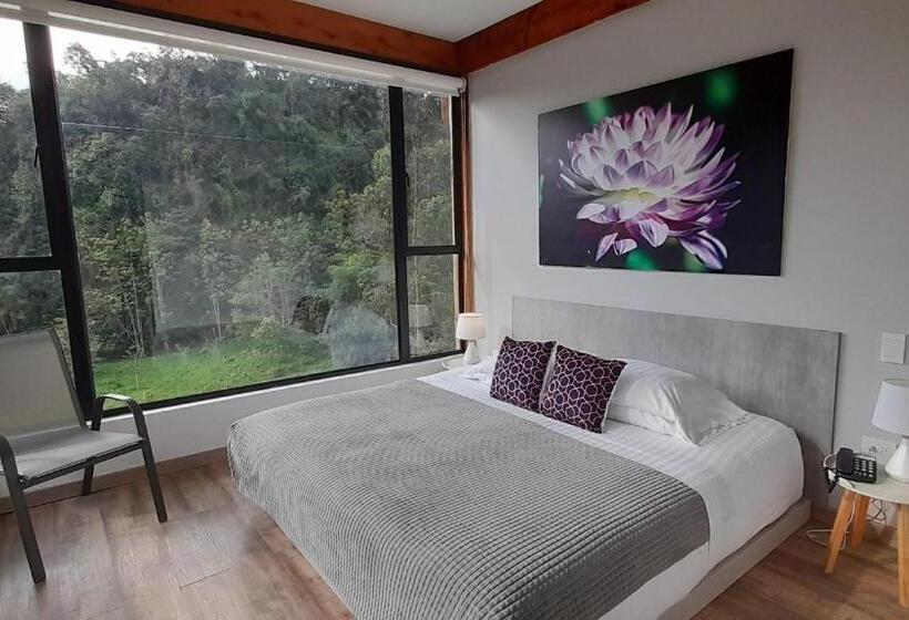 マウンテンビュースタンダードルーム, Termales Tierra Viva