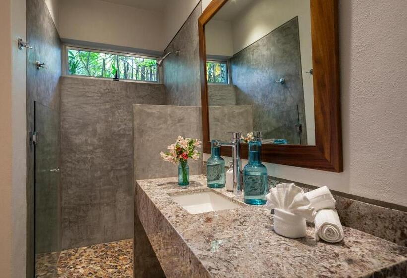 חדר סטנדרט, Anjali Casa Divina