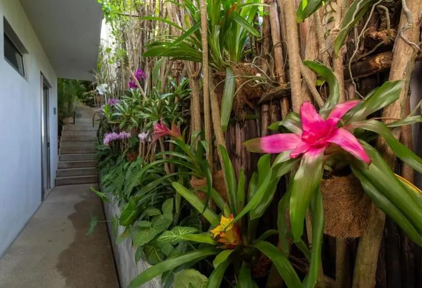 اتاق استاندارد, Anjali Casa Divina