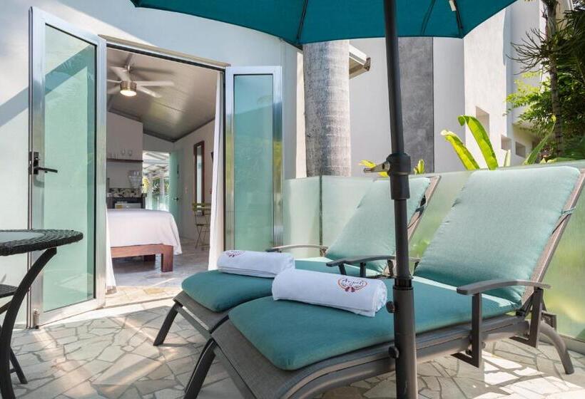 סוויטה עם טרסה, Anjali Casa Divina