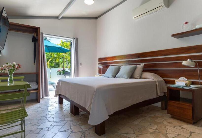 סוויטה עם טרסה, Anjali Casa Divina