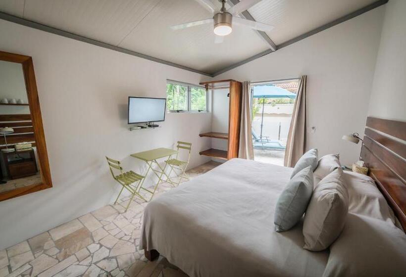 סוויטה עם טרסה, Anjali Casa Divina