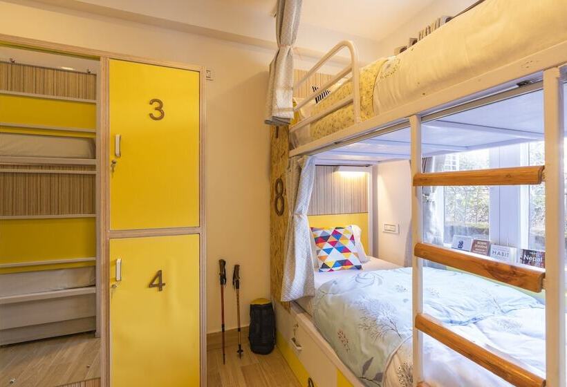 سرير فى غرفة مشتركه, Flock Kathmandu