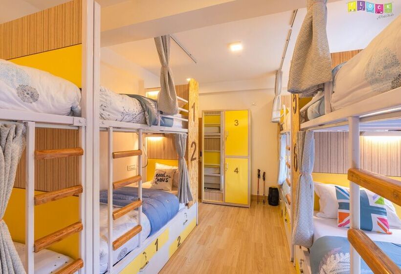 سرير فى غرفة مشتركه, Flock Kathmandu