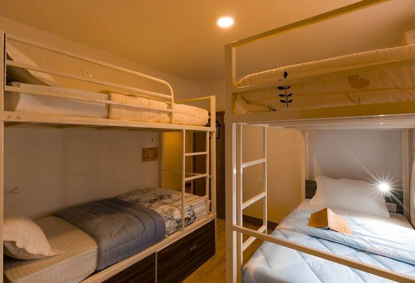 سرير فى غرفة مشتركه, Flock Kathmandu