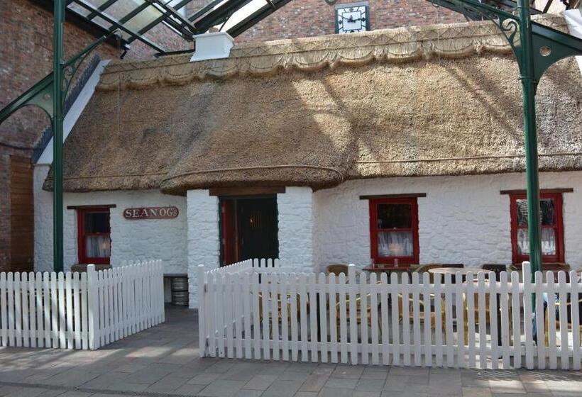 ベーシックルーム, Rooms At Rue