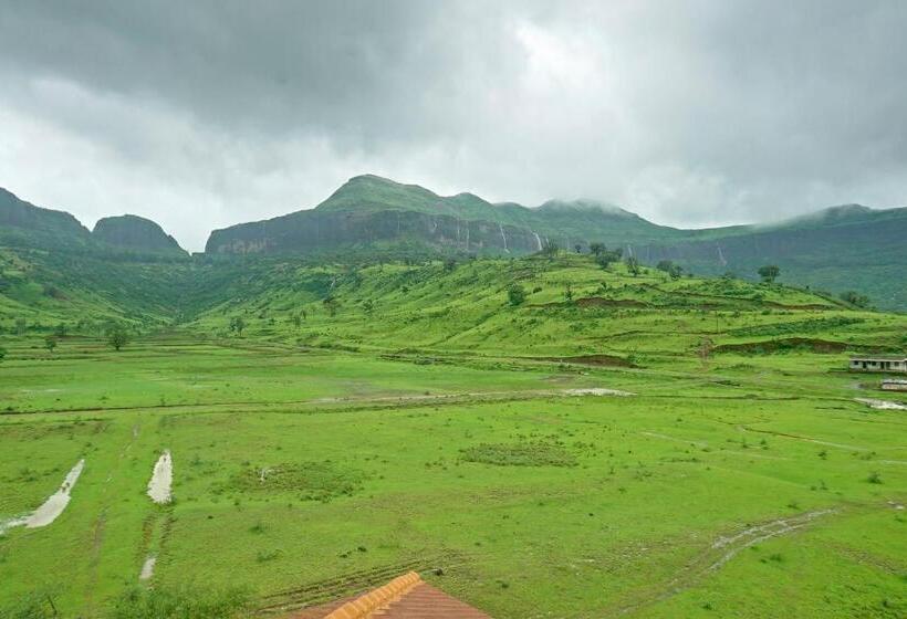 חדר דלוקס, Shivas Inn