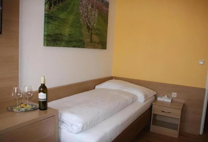 Standard Yhden Hengen Huone, Weinhotel Rieder