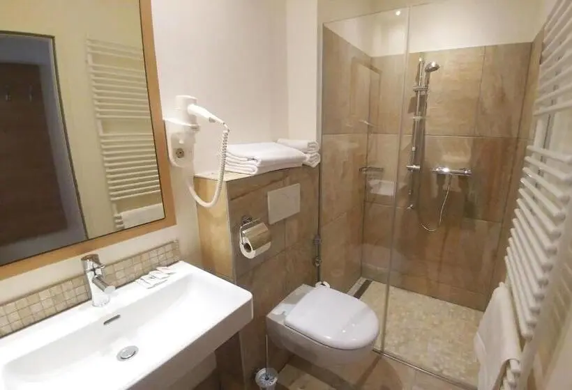 Standard Yhden Hengen Huone, Weinhotel Rieder