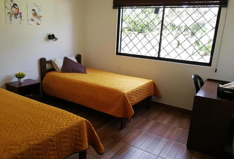 스탠다드 룸, Chapelet Hostal