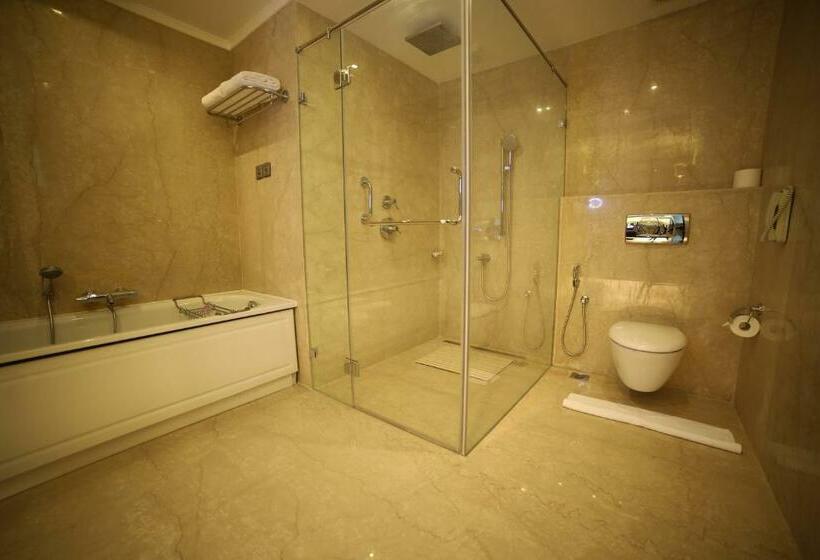 Президентский Люкс, Ramada Plaza Chennai