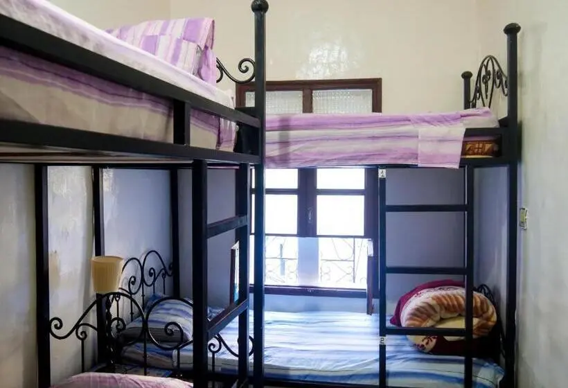 Vuode Makuusalissa, Hostel Aline