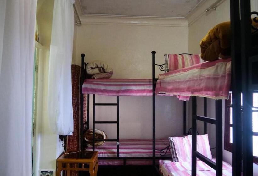 공동 객실, Hostel Aline