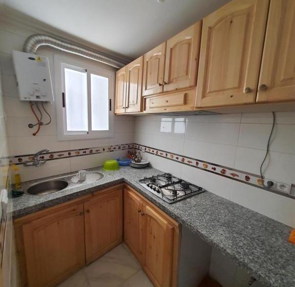 이코노미 룸, Hostel Aline