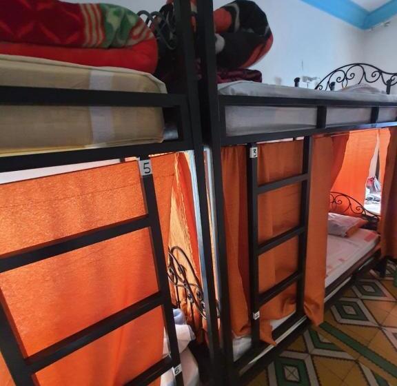 共用房间的床, Hostel Aline