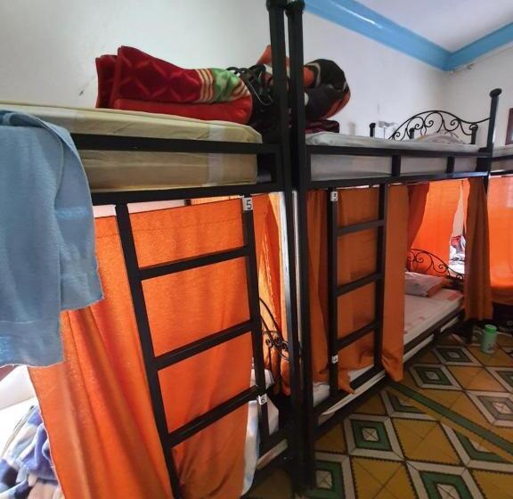 共用房间的床, Hostel Aline