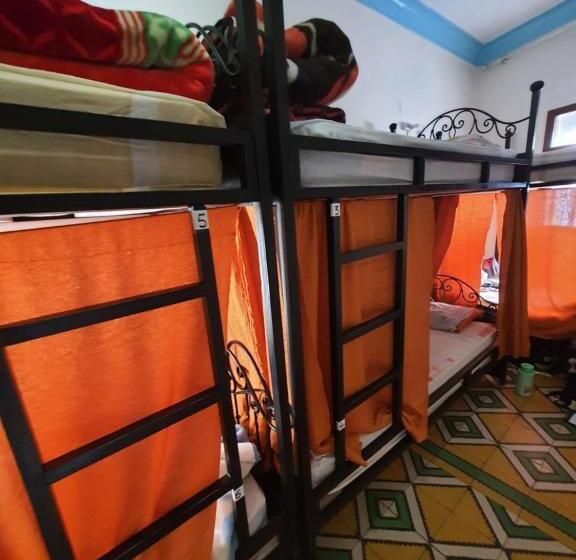 공동 객실, Hostel Aline