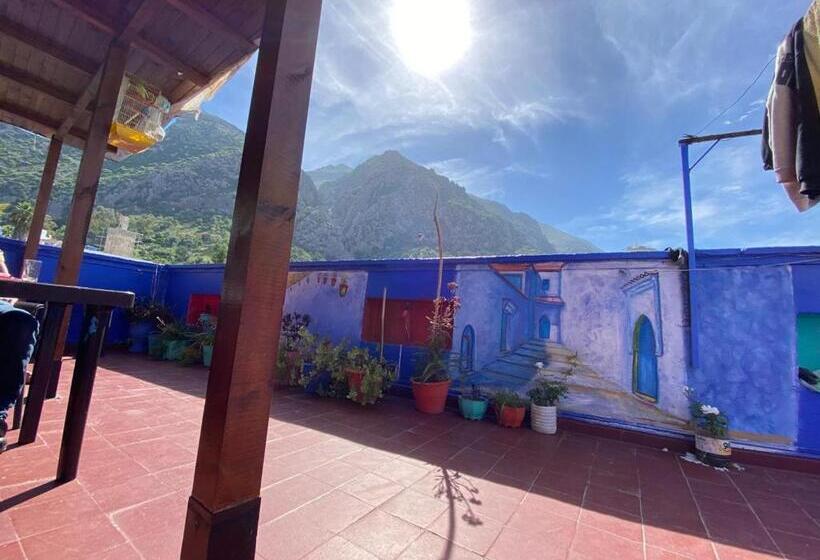 공동 객실, Hostel Aline