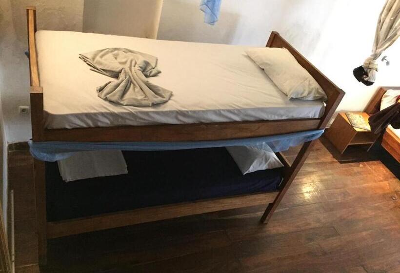 شقة غرفة واحدة, Cafe Central