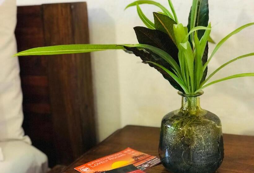 إستوديو قياسى, Cafe Central