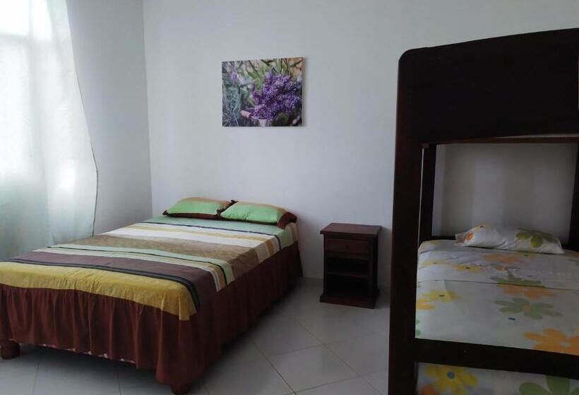 اتاق استاندارد چهار تخته, Salduba