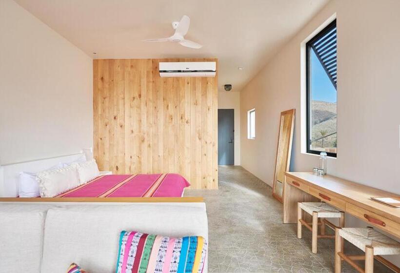 جناح, San Cristobal Adults 15+