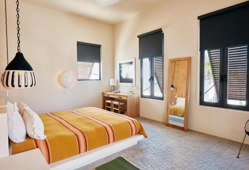 جناح, San Cristobal Adults 15+