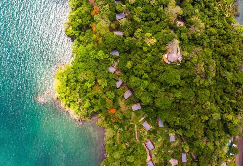 چادر با خدمات رفاهی استاندارد, Isla Chiquita Glamping