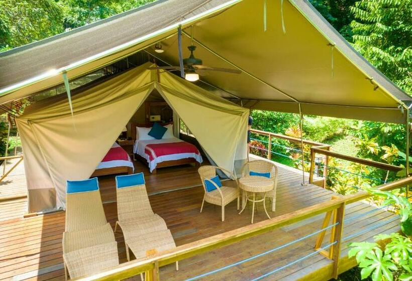 چادر با خدمات رفاهی استاندارد, Isla Chiquita Glamping