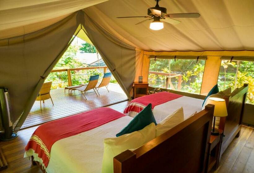 چادر با خدمات رفاهی استاندارد, Isla Chiquita Glamping