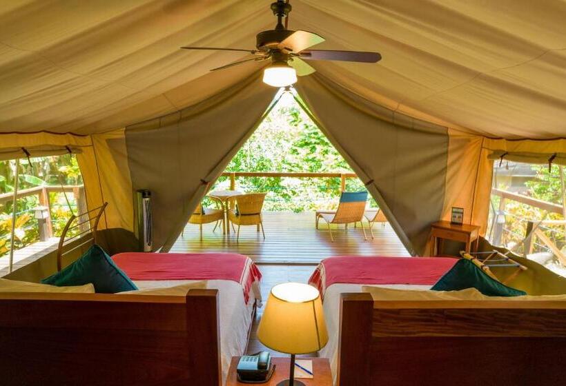 چادر با خدمات رفاهی استاندارد, Isla Chiquita Glamping