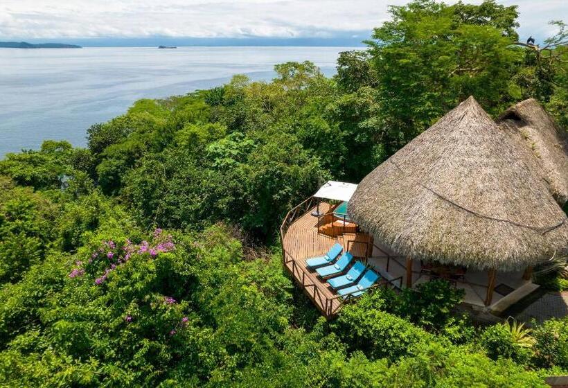 سوئیت مستر, Isla Chiquita Glamping