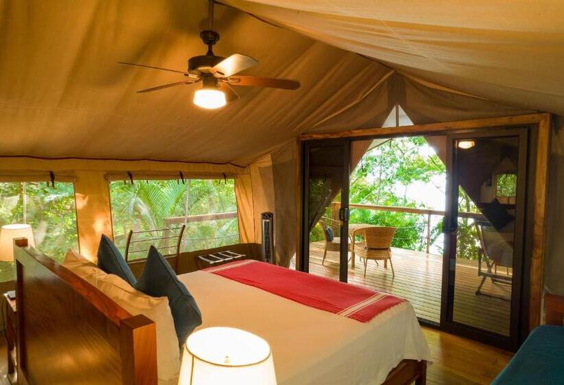 چادر با خدمات رفاهی استاندارد, Isla Chiquita Glamping