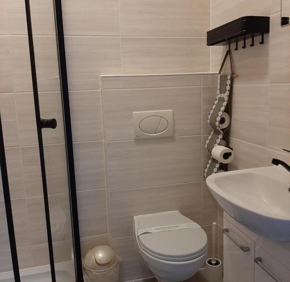 シングルベーシックルーム, Noclegi Viktor