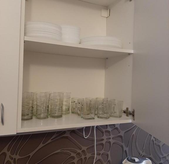 シングルベーシックルーム, Noclegi Viktor