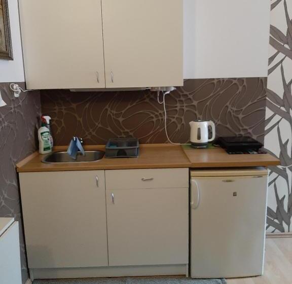 シングルベーシックルーム, Noclegi Viktor