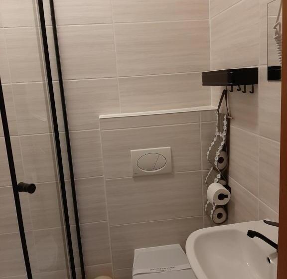 シングルベーシックルーム, Noclegi Viktor