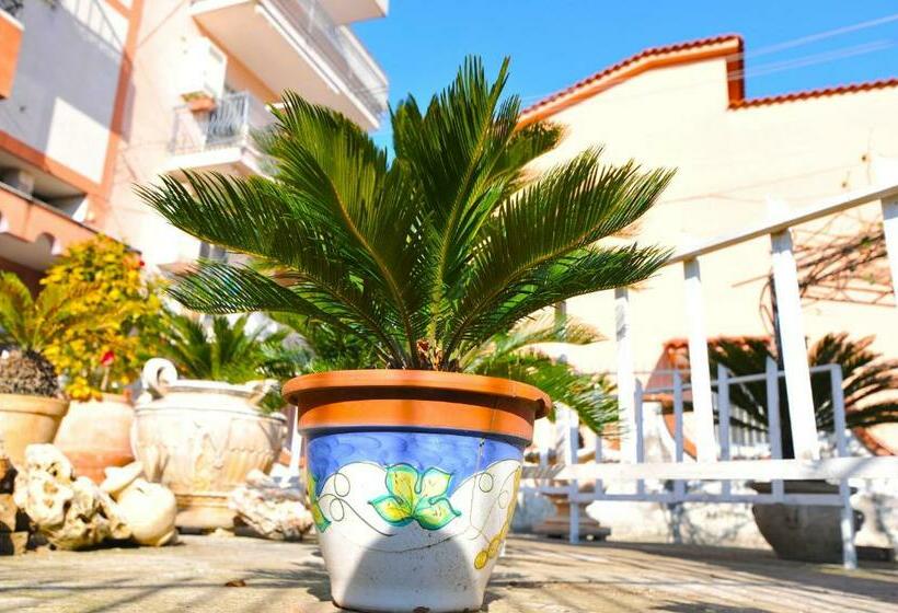 Семейный Номер, B&b Le Cycas