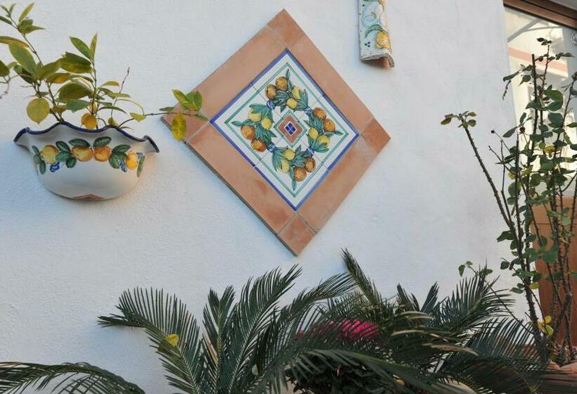 Семейный Номер, B&b Le Cycas