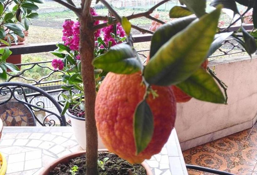 Семейный Номер Superior, B&b Le Cycas