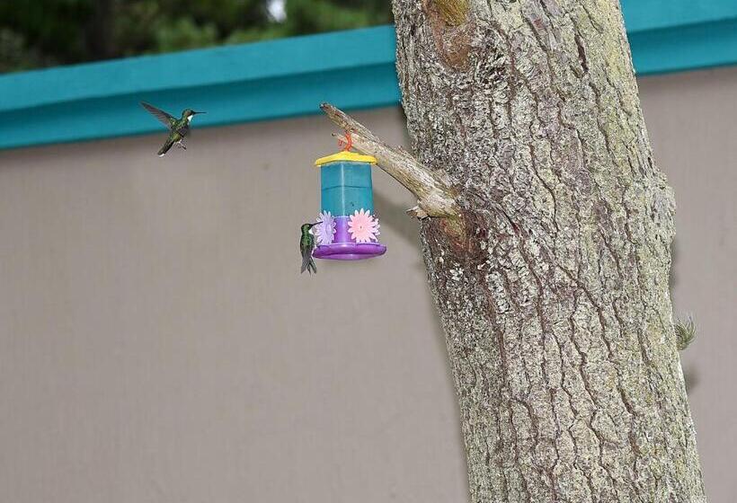 Апартаменты 1 Спальня, Altos De La Reserva