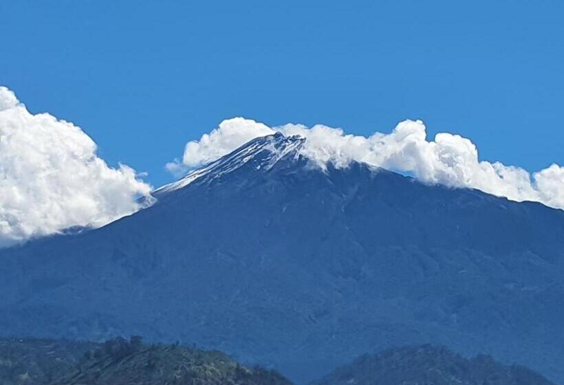 اتاق پریمیوم چهارنفره, Boulevard Inn Mt Meru