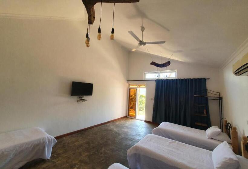 اتاق پریمیوم چهارنفره, Boulevard Inn Mt Meru