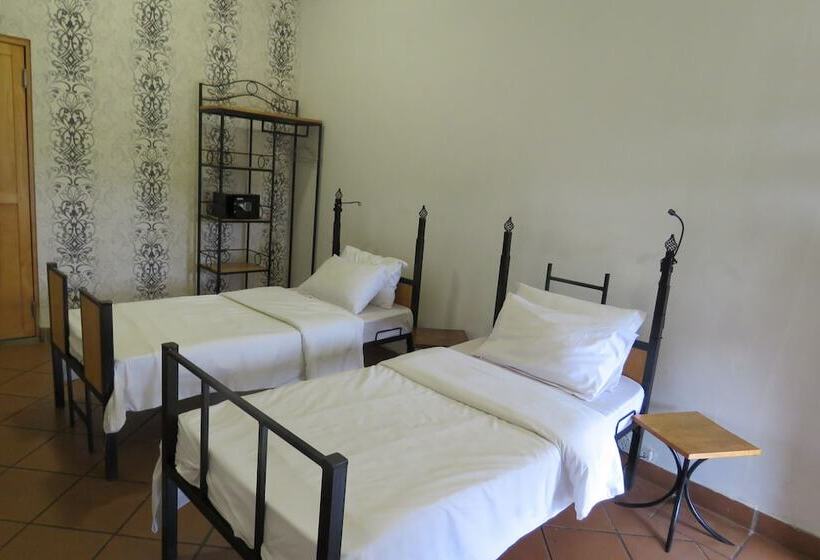 اتاق لوکس, Boulevard Inn Mt Meru