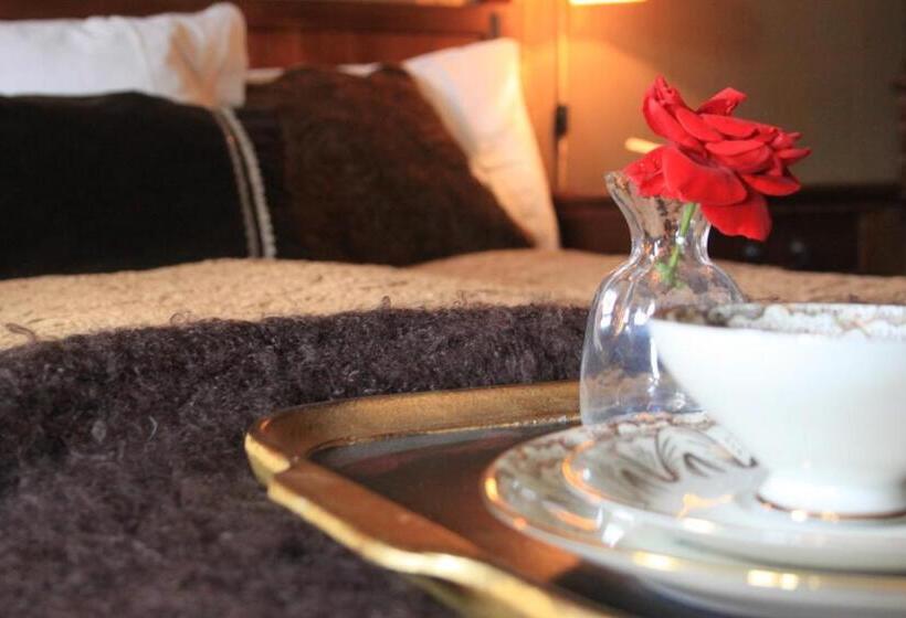 带大床的高级房间, Villa Gina österlen