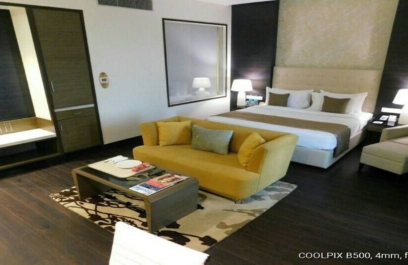 高级客房, Sayaji Raipur