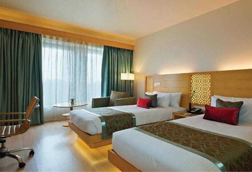 标准间, Sayaji Raipur