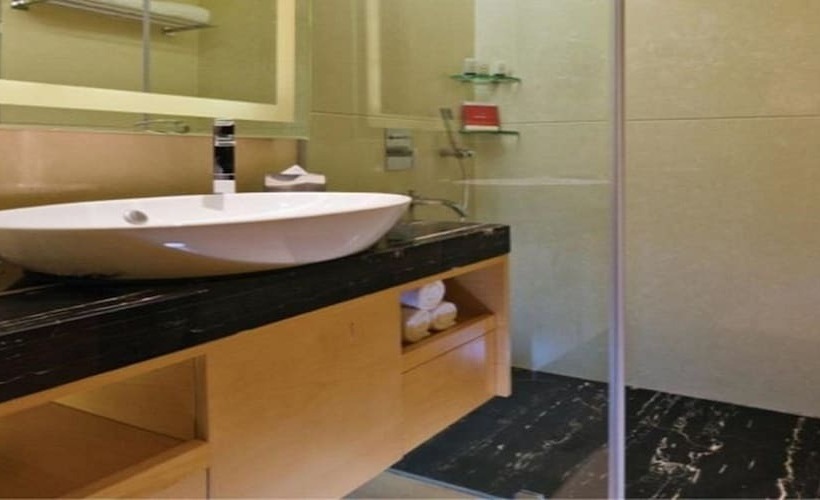 高级客房, Sayaji Raipur